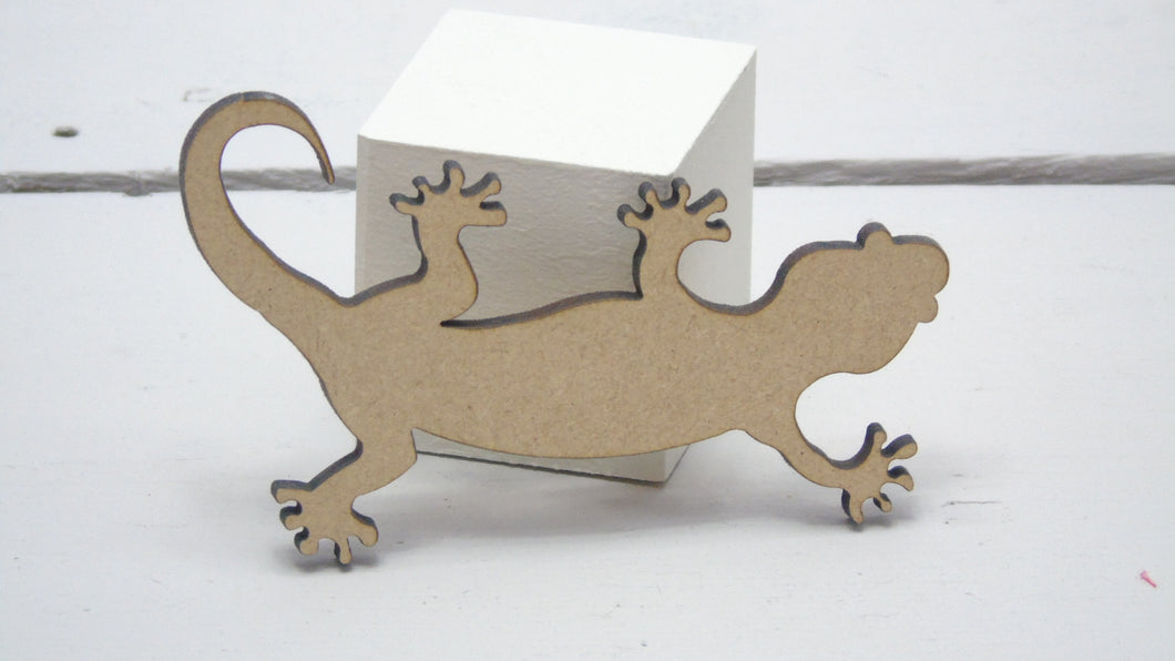 Lizard / Geco 15cm - 50cm