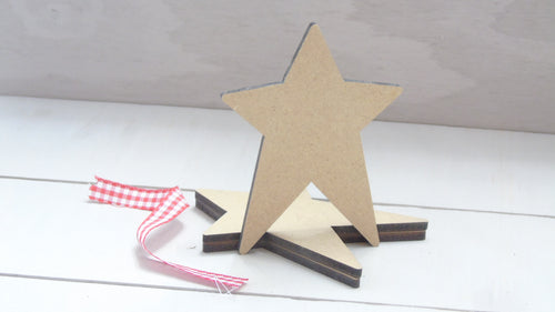 Star Sloppy 4cm -12cm (Packs Of 10)