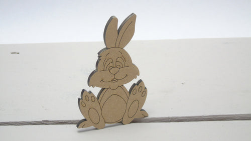 Bunny Funny 4cm -12cm (Packs Of 10)